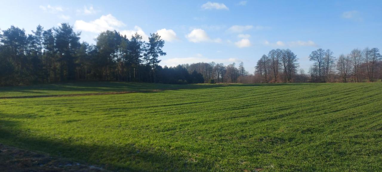 Domek Do Wynajecia - Siedlisko Przy Lesie Rzasnik Exterior foto